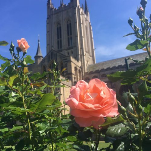 60 second snippet - Cathedral grounds - St Edmundsbury Cathedral